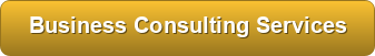 Business Consulting Services