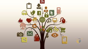 Networking and Building Professional Relationships