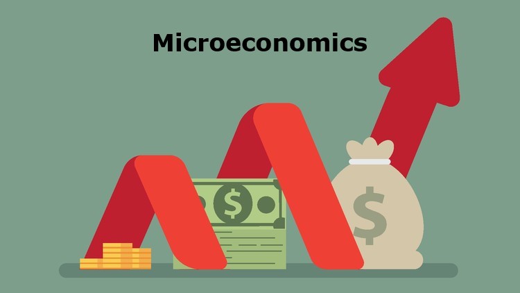 Microeconomics for Managers