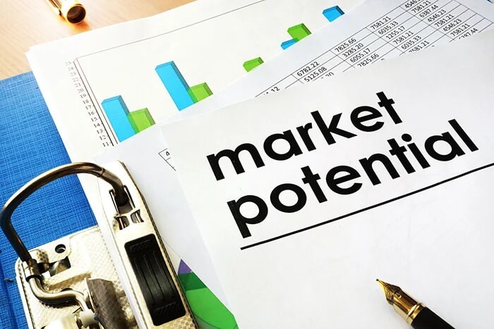 How to Assess Market Potential