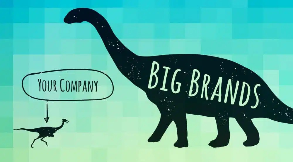 How to Compete with Bigger Brands