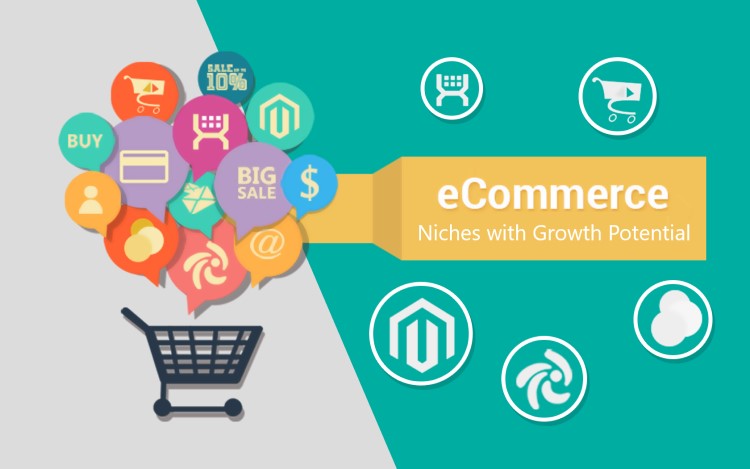 eCommerce Niches with Growth Potential