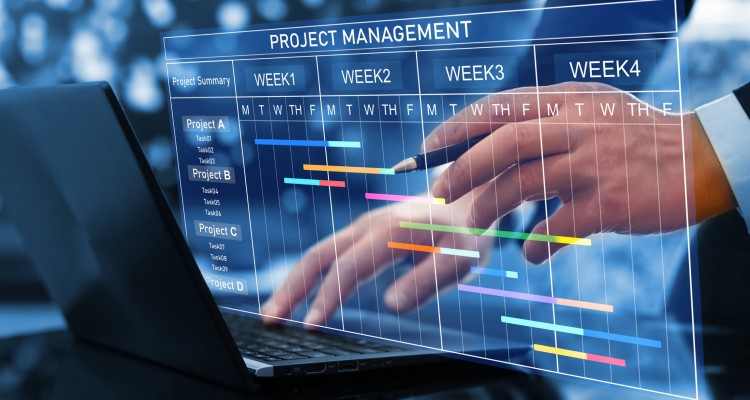 Effective Project Management