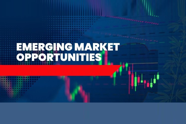 Emerging Market Opportunities