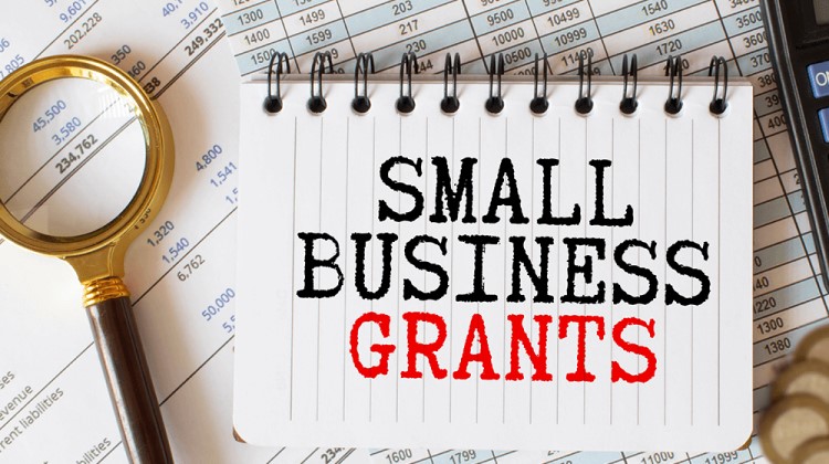 Grants for Small Businesses