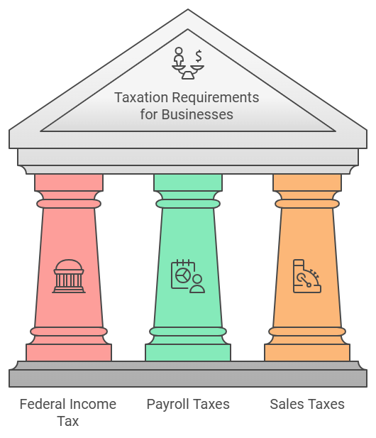 Taxation Requirements for Businesses