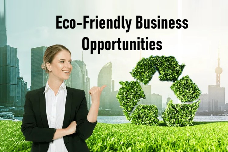 Eco-Friendly Business Opportunities