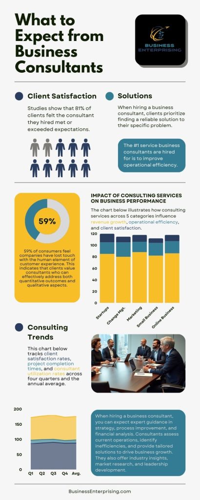 What to Expect from Business Consultants Infographic