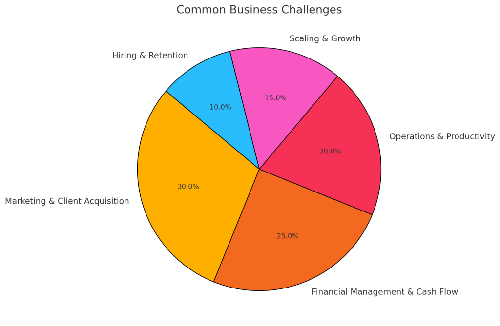 Business Challenges Pie Chart