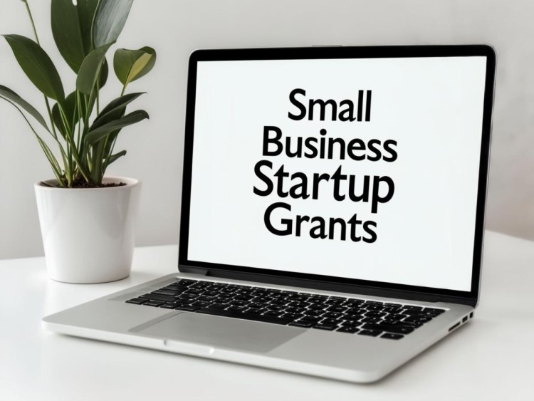 Small Business Startup Grants