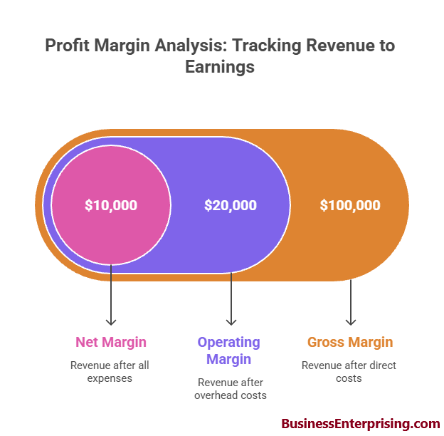 Profit Margin Analysis-Tracking Revenue to Earnings
